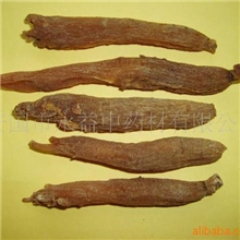 供应中药材植物原药材中药饮片天然中药粉红参批发零售