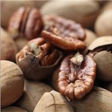 【精品美味】供应2013干果新品上架优质美味中圆碧根果直销大促