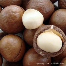 【诚信商家】供应优质新品营养丰富新南牌夏威夷果（大号）干果