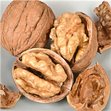 【精品推荐】供应2013新货优质新疆185纸皮生核桃直销大促