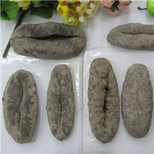 批发进口野生海参黑猪婆参3-5头/斤/380元产地印尼海味干货