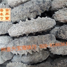 批发海参野生海参南美参足参30-60头/斤/550元墨西哥海味干货