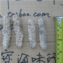 海参批发野生进口刺王参刺参刺王50头/斤/350元印尼海味干货