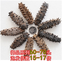 优质野生海参大连海参淡干海参威海海参40-60头厂家直销批发