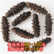 优质野生海参大连海参淡干海参刺参80-100头