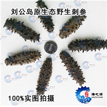 批发刘公岛原生态野生海参淡干海参大连海参100-120头尚品海参