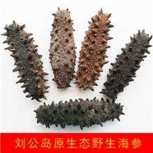 优质野生海参大连海参淡干海参刺参40-60头50克厂家批发