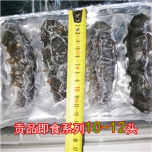 优质野生海参大连海参尚品即食海参刺参10-12头