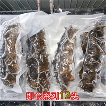 优质野生海参大连海参即食海参刺参12头