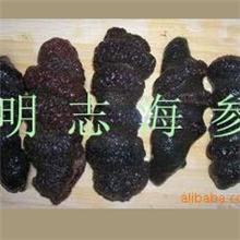 大量供应大连特产大连海参即食海参高档海茄子