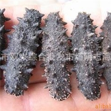 大量销售大连特产海参盐干海参干辽海参