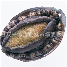 专业供应海鲜鲍鱼加工特价大鲍鱼鲍鱼礼盒大连鲍鱼干货批发
