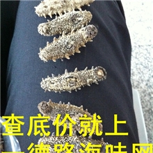 辽参冻干30-80头泡发12-13斤注意看刺很大就是不好淡干刺细