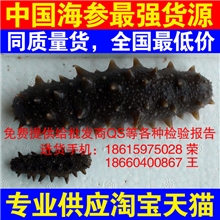 海鲜干货|海产品干货|最强海参淘宝货源|淡干海参|盐干海参|冻干