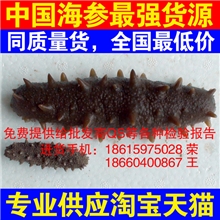 淡干海参|盐干海参|冻干海参|大连海参|海参批发|海参|干海参