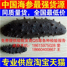 海产品海鲜干货批发|淡干海参|野生海参|最强淘宝货源烟台海参