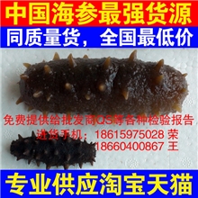 海参淘宝最强干海参货源|淡干海参|盐干海参|冻干海参|海参批发