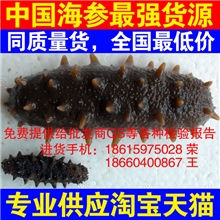 海参|海鲜海产品干货|淡干海参|盐干海参|冻干海参|野生海参批发