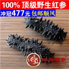 纯正野生刺参日本红参六排刺,极品滋补海参,孕妇孩子病人滋补圣品