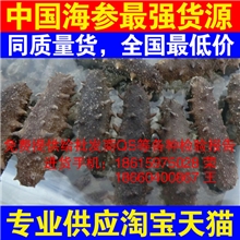 海参海鲜干货批发海产品淡干海参纯野生批发干海参