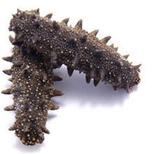 海参一级淡干海参大连海参纯野生淡干辽参