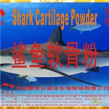 鲨鱼软骨粉(保健品原料）