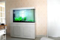 福建鱼缸厂家（水族店，水族箱，鱼缸，水族箱批发代理）