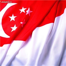 新加坡旅游签证63天旅游签证反签证新加坡公司或公民担保签证