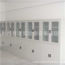 【君凌实验设备】定制加工全钢试剂柜.专业实验室全钢试剂柜