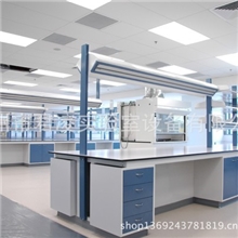 供应全钢实验台钢木实验台通风柜药品柜仪器台器皿柜