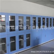 【君凌实验设备】定制加工药品柜.专业实验室全木药品柜