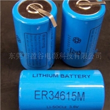 柱式锂亚电池,一次锂电池,3.6V锂亚硫酰氯电池ER34615M功率型电池