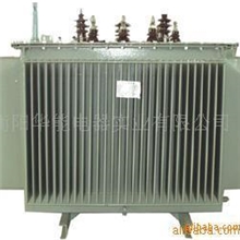 承接变电站，水电站维护、检测、大修及技保业务