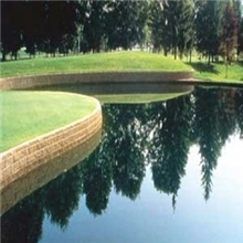 【本店热销】厂家供应舒布洛克砖多用舒布洛克砖价格实惠