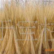 柳条.草柳编原料.开业花篮用白柳条蒸柳条产地直销白柳条柳条