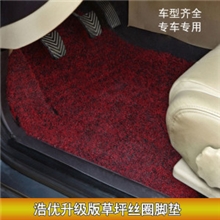 最新升级版高档汽车草坪丝圈脚垫