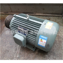 YL系列三相电动机/全铜线国标正品电机山东非标电机