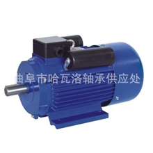 YL系列,2.2Kw,4极单相电动机/全铜线国标
