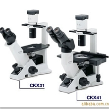 供应奥林巴斯生物显微镜CKX31,CKX41