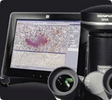 供应奥林巴斯数码图像产品DP25