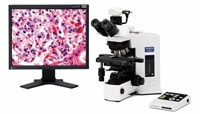 供应奥林巴斯数码显微镜图像产品DP20