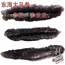 【自产自销】东海大乌参全国唯一一家东海参去皮技术及产品开发
