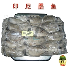 【供应批发】印尼墨鱼200-300克目鱼经典水产品美味爽口