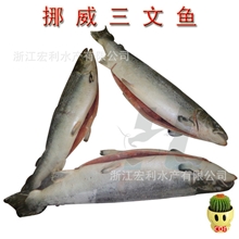 【供应批发】挪威三文鱼7-8公斤美味甜口营养食品长期供应