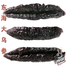 【厂家直销】东海大乌参营养中的补品海参批发海鲜批发水产品