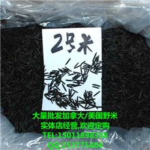 批发加拿大野生大米,美国苏比利尔野米,2号3号冰湖野生黑米