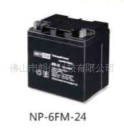 12V17AH德国朗科NETCCA逆变电源专用免维护铅酸蓄电池电瓶