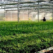 【专业生产供应】高强度温室(图)太阳能温室价格公道