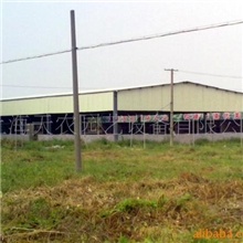 供应钢结构棚(图)