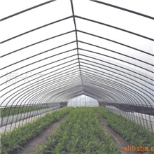 供应农家菜棚(图)